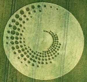161.) Pointed Spiral, Forest Marlborough, UK (2014)