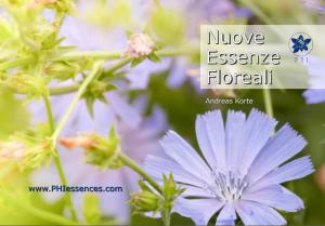 Nuevas Esencias Florales, italiano