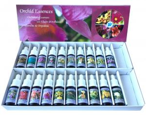 Elixirs d'orchidées de l'Amazonie / Kit / 20 pcs.