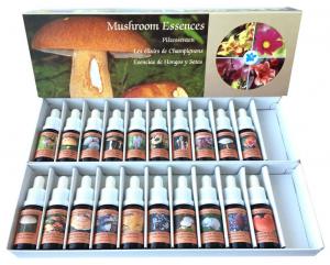 Mushroom Essences Set 1-20