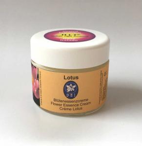 Lotus - Cream