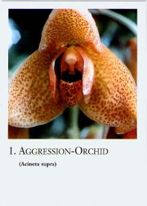 Amazonian Orchid Flower-Cards, 20 pieces