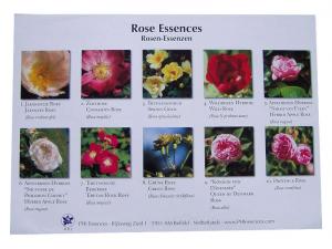 Poster: Esencias de Rosas