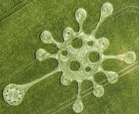 214.) Virus Shape, Potterne Field, Nr Devizes, UK 2020